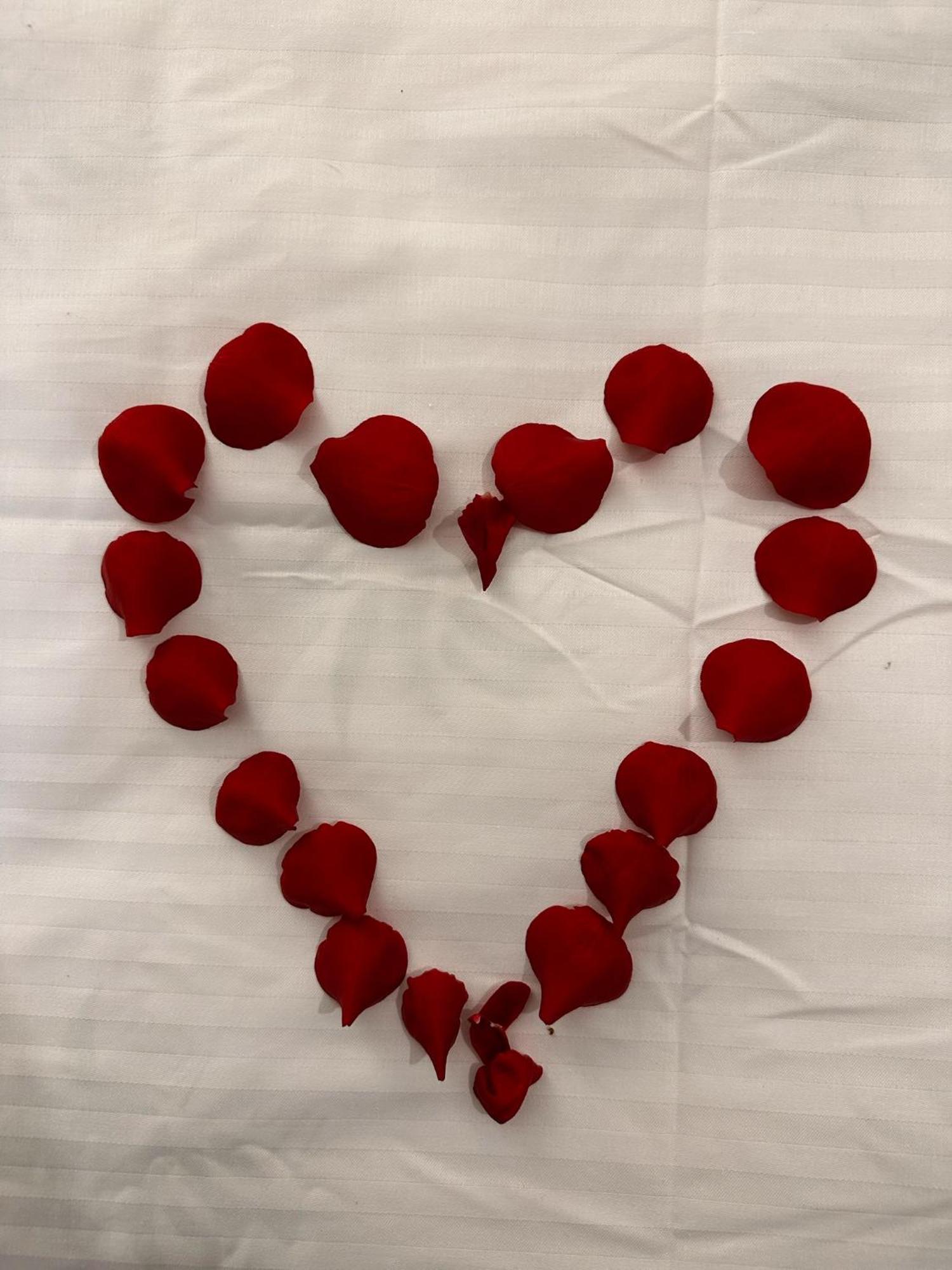 Romantic Charm, Spa, Free Early Check-In Bukarest Exteriör bild